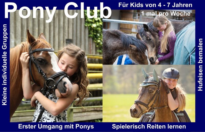 Pony Club HIPPO Promotion