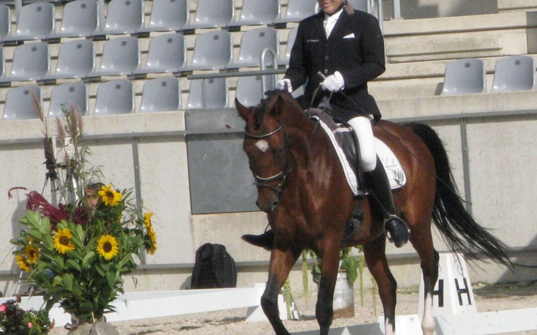 Lucciano de Saale