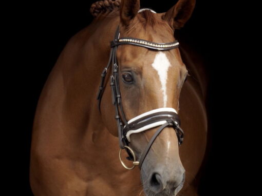 Wilbur (Will de Boer)