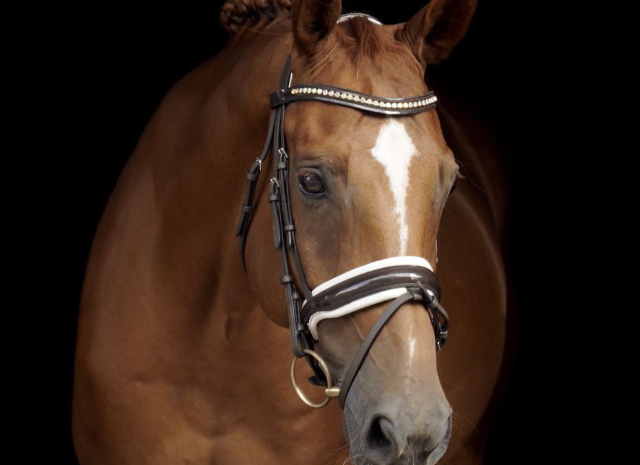 Wilbur (Will de Boer)
